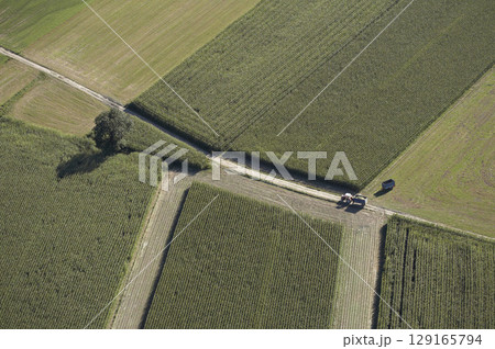 Fields, Drautal, Carinthia, Austria Fields, Drautal, Carinthia, Austria 129165794