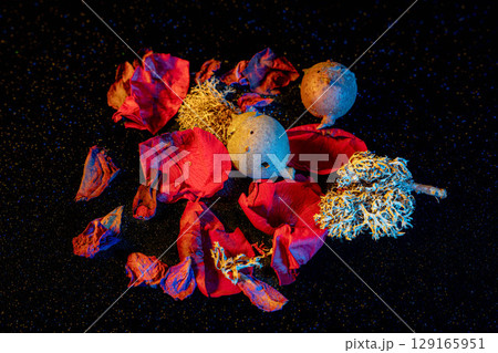 Still Life with Dramatic Light 129165951