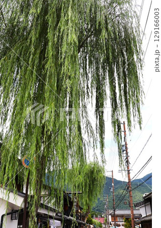 北国街道 上田宿 柳町(長野県上田市中央4丁目) 北国街道 上田宿 柳町(長野県上田市中央4丁目) 129166003