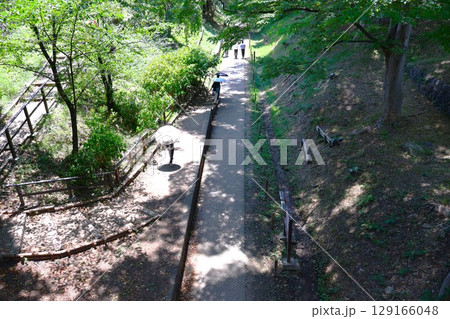 上田城跡公園ケヤキ並木遊歩道（真田傍陽線プラットホーム跡） 129166048