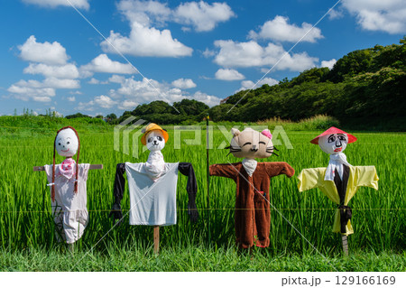 案山子と稲穂 129166169