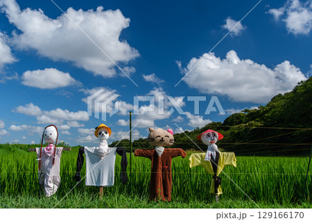 案山子と雲 案山子と雲 129166170