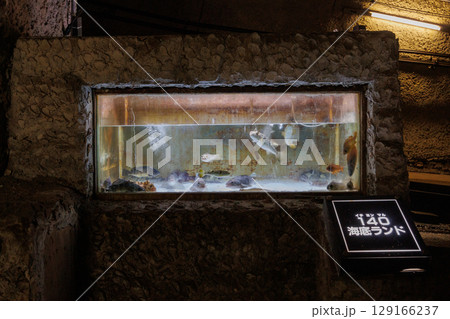 体験坑道の水槽(青函トンネル記念館) 体験坑道の水槽(青函トンネル記念館) 129166237