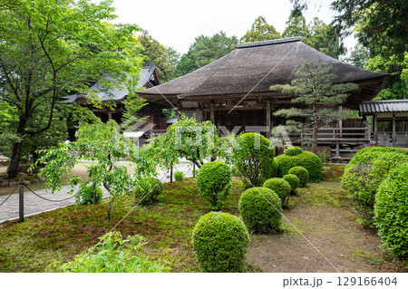土佐国分寺の本堂と太子堂 129166404