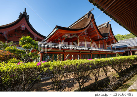 伊佐爾波神社の社殿 129166485