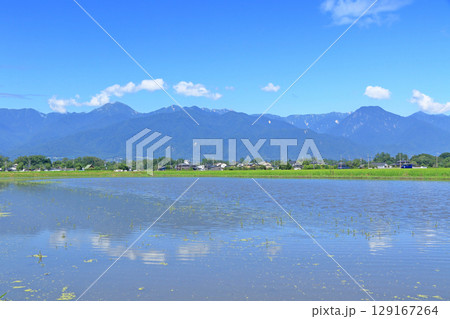 安曇野の夏　田園と北アルプス 129167264