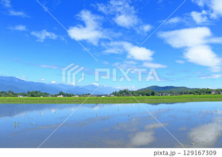 安曇野の夏　田園と北アルプス 129167309