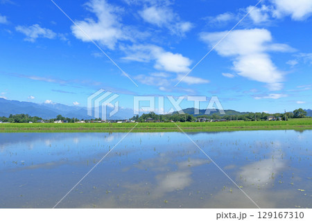 安曇野の夏 田園と北アルプス 安曇野の夏 田園と北アルプス 129167310
