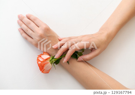 Delicate feminine hands with well-groomed skin hold a neatly trimmed orange rose on a white background, emphasizing aesthetics and care Delicate feminine hands with well-groomed skin hold a neatly trimmed orange rose on a white background, emphasizing aesthetics and care 129167794
