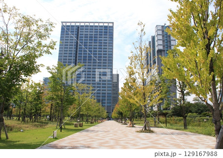 港区立芝浦中央公園の風景 129167988