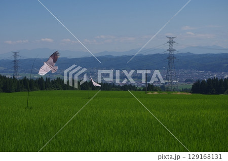田園地帯から望む青空の下 129168131