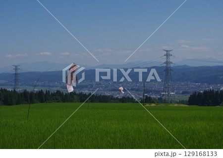 田園地帯から望む青空の下 129168133