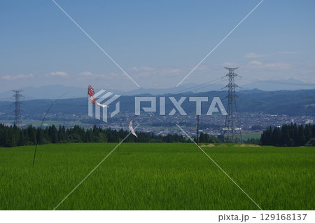 田園地帯から望む青空の下 129168137