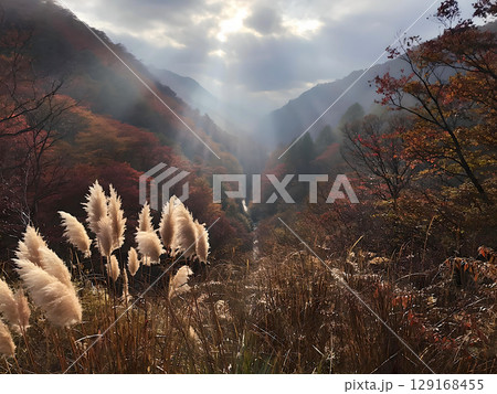 すすきの先に広がる紅葉の渓谷 129168455