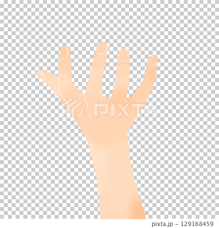 水彩風　開いた手のリアル風イラスト 129168459