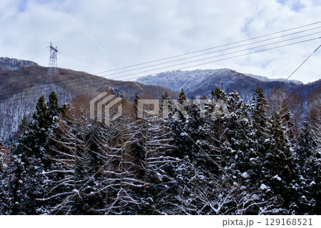 うっすら雪が積もった樹木と山々の景色 うっすら雪が積もった樹木と山々の景色 129168521
