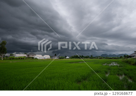 An arcus cloud appear on the sky. Arcus clouds are spectacular low-level, long and thin clouds associated with powerful thunderstorms. 129168677