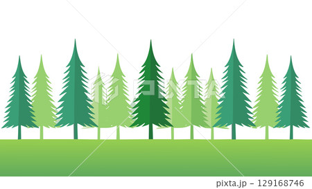 針葉樹の並木の背景イラスト 129168746