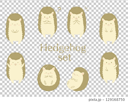 各種姿勢的刺猬 129168750