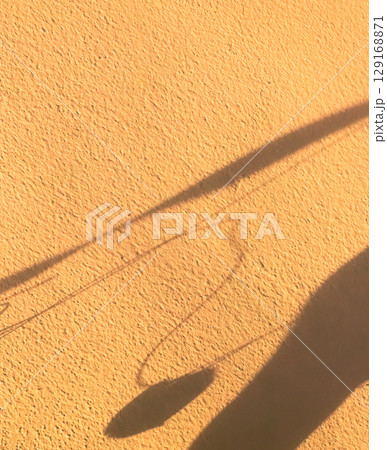 Beige Background Shadow Texture Leaf Nature Summer Autumn Wall Light Abstract Floor Wall Orange Brown Tree blue pastel Gradient Two Tone Bright Color Paper Stone. 129168871