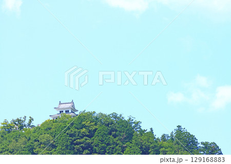 岐阜県郡上市、郡上八幡城の風景 129168883