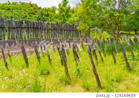 【佐賀県 】吉野ヶ里遺跡　東口入口付近の逆茂木（さかもぎ） 129169689