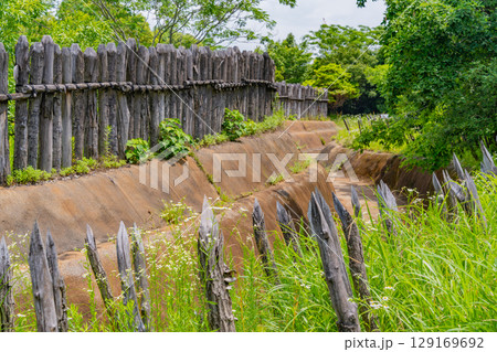 【佐賀県 】吉野ヶ里遺跡 東口入口付近の逆茂木(さかもぎ) 【佐賀県 】吉野ヶ里遺跡 東口入口付近の逆茂木(さかもぎ) 129169692