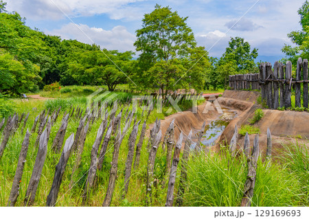 【佐賀県 】吉野ヶ里遺跡　東口入口付近の逆茂木（さかもぎ） 129169693