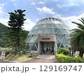 宮崎県立トロピカルドーム(有用植物園) 129169747