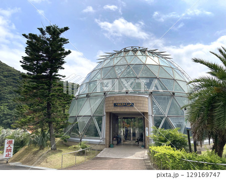 宮崎県立トロピカルドーム(有用植物園) 129169747