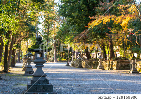 秋の多賀大社。多賀町、滋賀県、日本 129169980