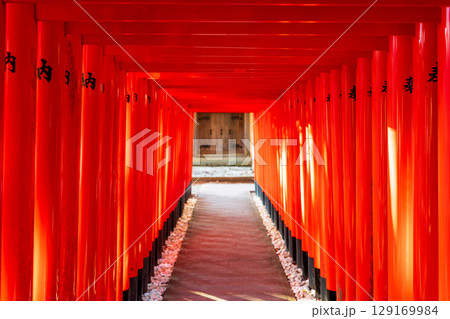 光が差し込み、影が落ちる神秘的な赤い鳥居のトンネル。金咲稲荷神社、多賀大社の摂社 光が差し込み、影が落ちる神秘的な赤い鳥居のトンネル。金咲稲荷神社、多賀大社の摂社 129169984