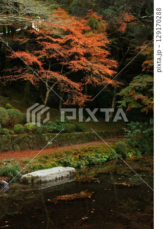 雷山千如寺大悲王院　紅葉 129170288