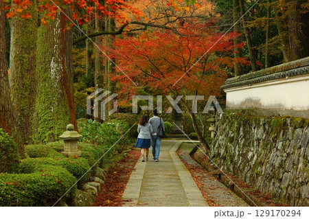 雷山千如寺大悲王院 紅葉 雷山千如寺大悲王院 紅葉 129170294