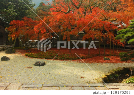 雷山千如寺大悲王院 紅葉 雷山千如寺大悲王院 紅葉 129170295