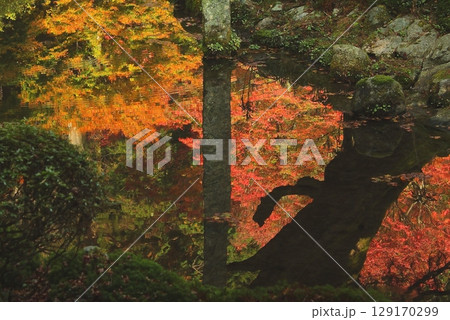 雷山千如寺大悲王院 紅葉 雷山千如寺大悲王院 紅葉 129170299