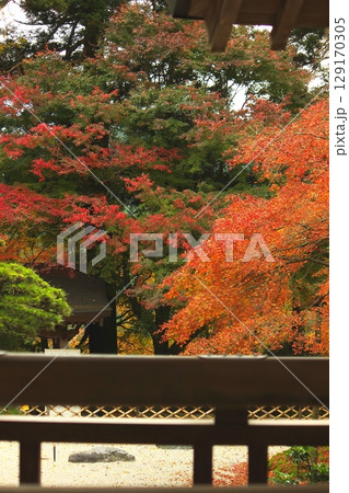 雷山千如寺大悲王院 紅葉 雷山千如寺大悲王院 紅葉 129170305