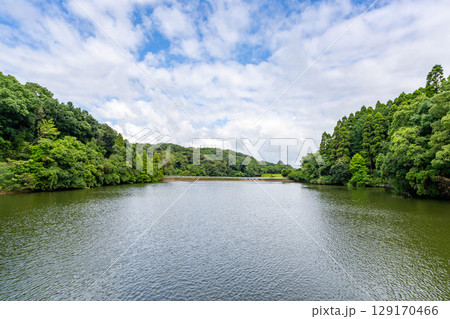 平和台公園の新池 平和台公園の新池 129170466