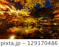 大田黒公園の秋景色（紅葉ライトアップ） 129170486