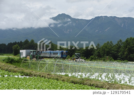 野辺山高原を走る八ヶ岳高原線の列車「HIGH RAIL 1375」 野辺山高原を走る八ヶ岳高原線の列車「HIGH RAIL 1375」 129170541