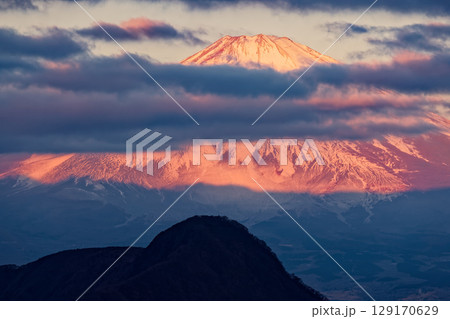 箱根・明神ヶ岳から見る朝焼けの富士山と金時山 129170629