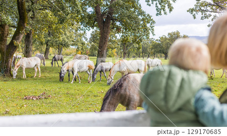 A woman and child are observing a group of horses grazing in a green field in a rural area, surrounded by plants and grass in the ecoregion 129170685