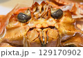 大迫力ヤンキー蟹 129170902