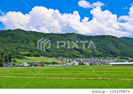 道の駅マルメロの駅ながとからの田園風景　長和町 129170975