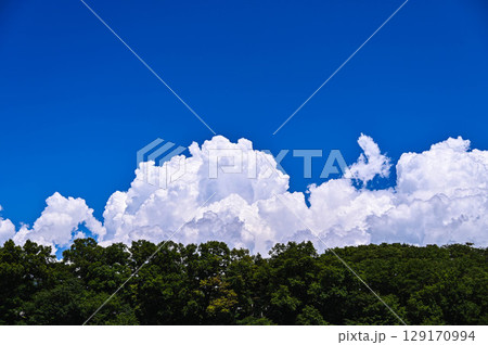 夏空と森林　 129170994