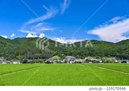 道の駅マルメロの駅ながとからの田園風景 長和町 道の駅マルメロの駅ながとからの田園風景 長和町 129170996