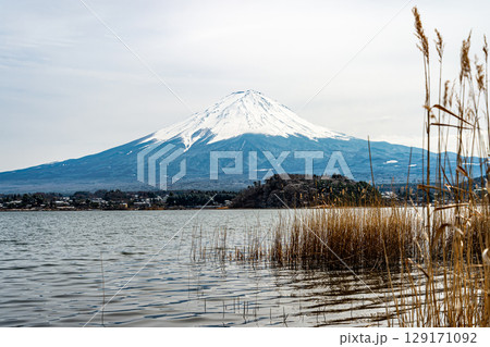 大石公園から望む富士山 129171092