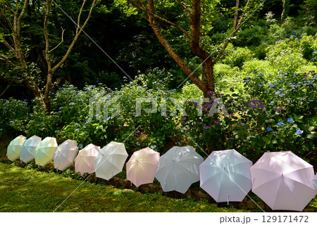 涸沼自然公園 2025-6-28 #14 涸沼自然公園 2025-6-28 #14 129171472