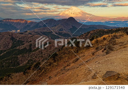 箱根・明神ヶ岳から見る朝の金時山と富士山 129171540