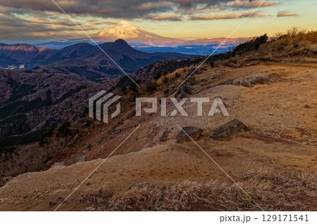 箱根・明神ヶ岳から見る朝の金時山と富士山 129171541